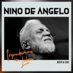 Nino de Angelo – „Irgendwann im Leben – Jetzt & Live“